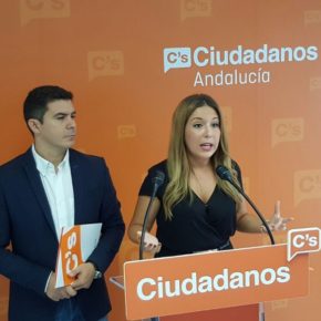 Sergio Romero: “La conexión ferroviaria entre Vadollano y Linares es imprescindible para su conexión con el Parque Empresarial de Linarejos”