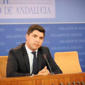 Aprobada por unanimidad una iniciativa de Ciudadanos en la que se insta al Gobierno central a que trabaje en la eliminación de los aranceles estadounidenses en el aceite de oliva