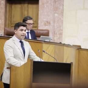 Cs exige a Sánchez que trabaje para evitar la imposición de los “injustos" aranceles estadounidenses a “nuestros productos agroalimentarios como el aceite de oliva”