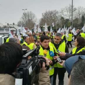 Ciudadanos urge a Sánchez un plan para eliminar los aranceles que afectan al aceite de oliva