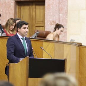 Ciudadanos valora una vuelta presencial y segura a los colegios jiennenses gracias al “trabajo riguroso” de la Consejería de Educación